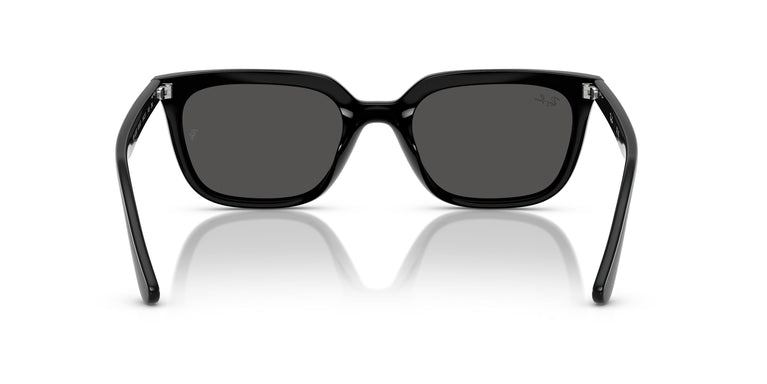 Ray-Ban RB4439D 901/87 54