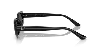 Ray-Ban RB4441D 667787 53