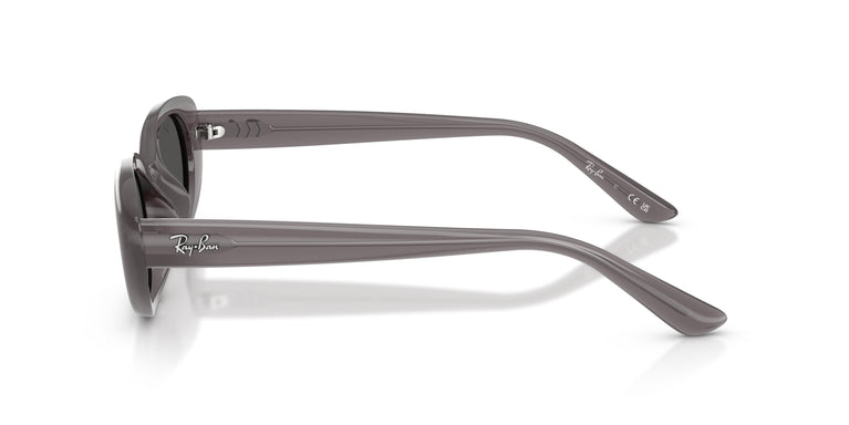 Ray-Ban RB4441D 677787 53