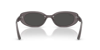 Ray-Ban RB4441D 677787 53