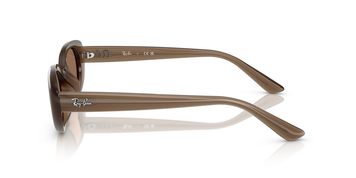 Ray-Ban RB4441D 677973 53