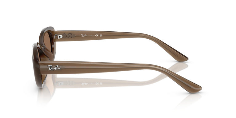 Ray-Ban RB4441D 677973 53