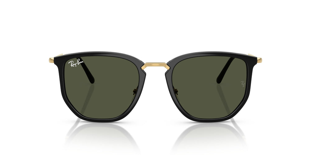 Ray-Ban RB4451 630631 50
