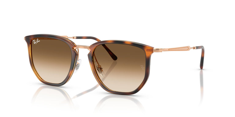 Ray-Ban RB4451 680451 53