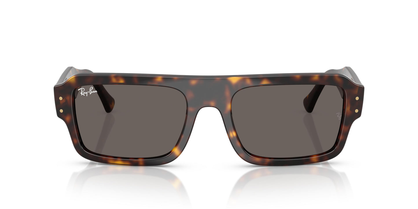 Ray-Ban RB4454 FLACKO 1359B1 53