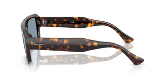 Ray-Ban RB4454 FLACKO 902/56 56