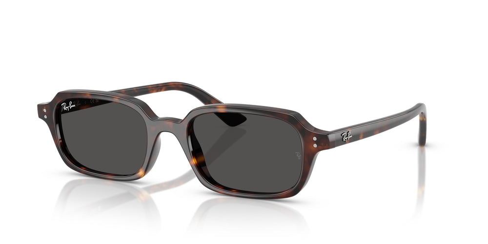 Ray-Ban RB4455 ZURI 135987 52