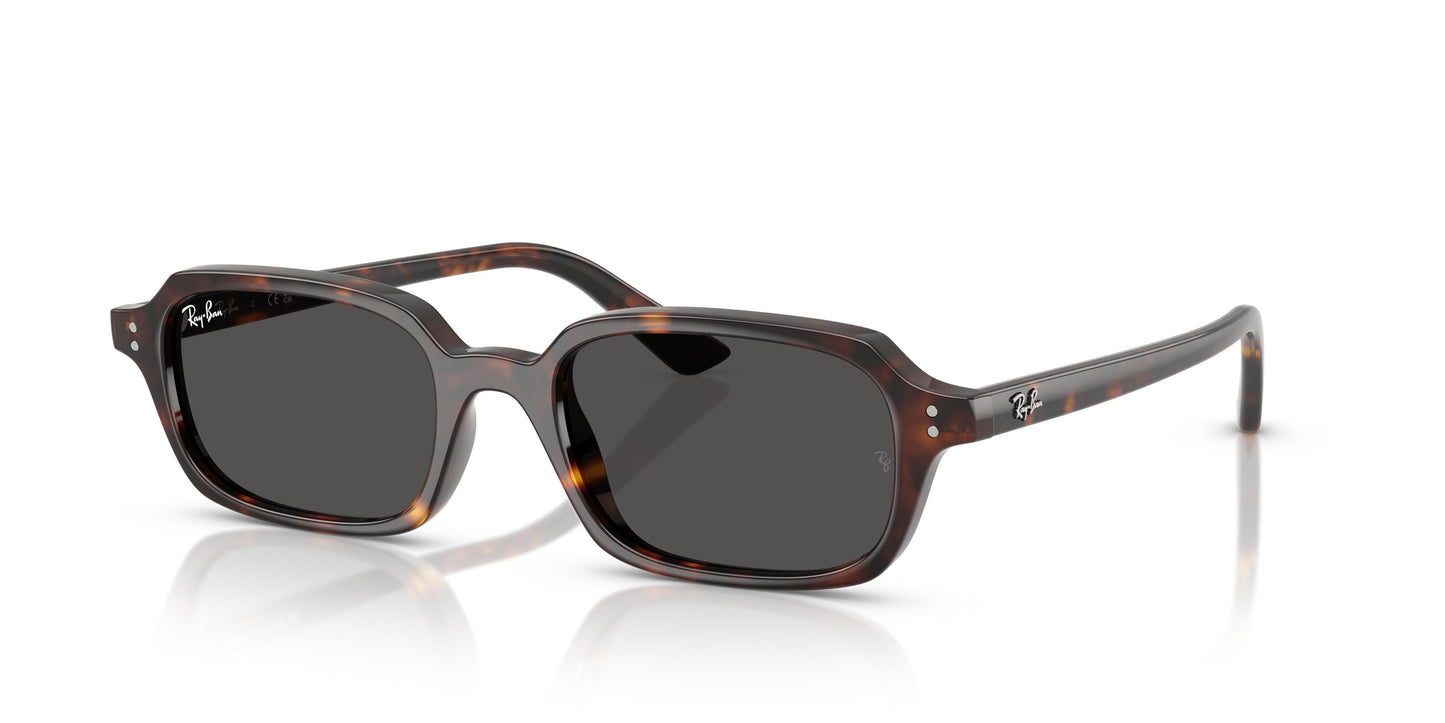 Ray-Ban RB4455 ZURI 135987 49
