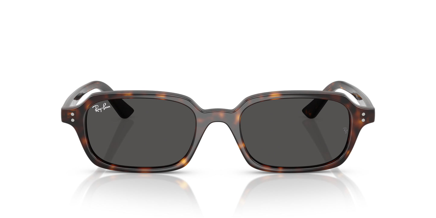 Ray-Ban RB4455 ZURI 135987 49