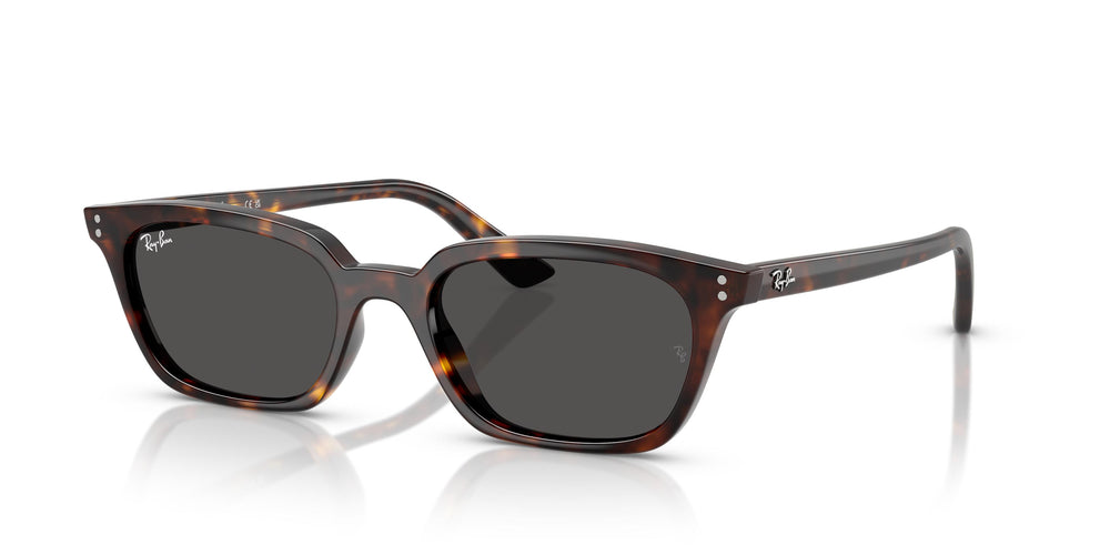Ray-Ban RB4456 ZAYA 135987 53