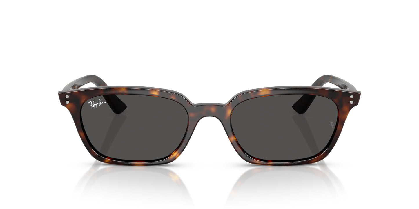 Ray-Ban RB4456 ZAYA 135987 50