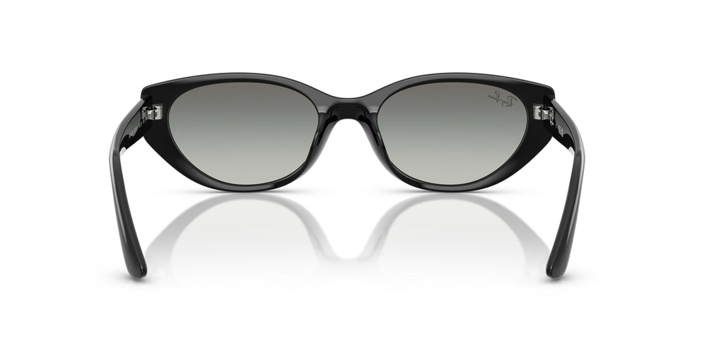 Ray-Ban RB4457D 667711 55