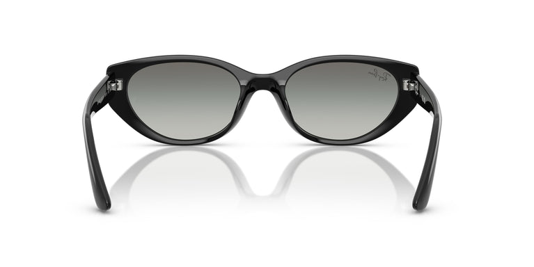 Ray-Ban RB4457D 667711 55