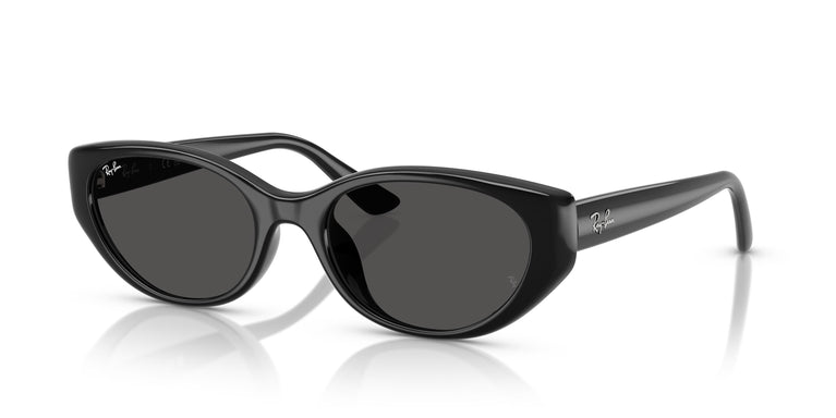 Ray-Ban RB4457D 667787 55
