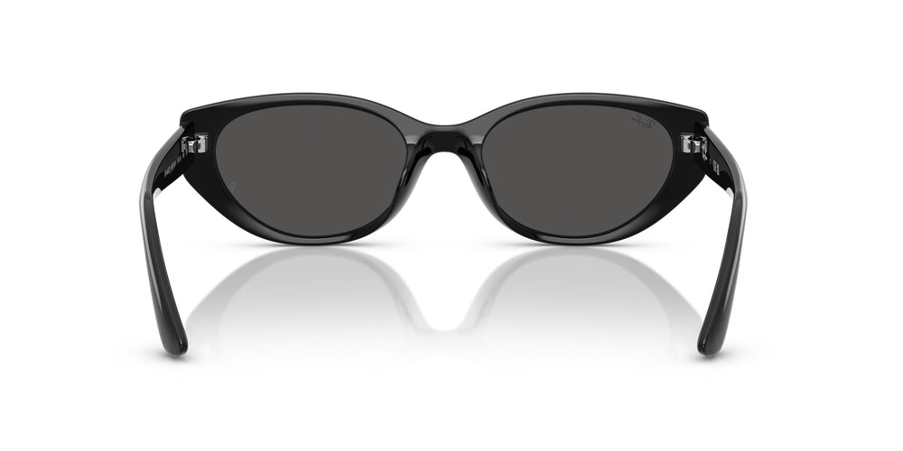 Ray-Ban RB4457D 667787 55