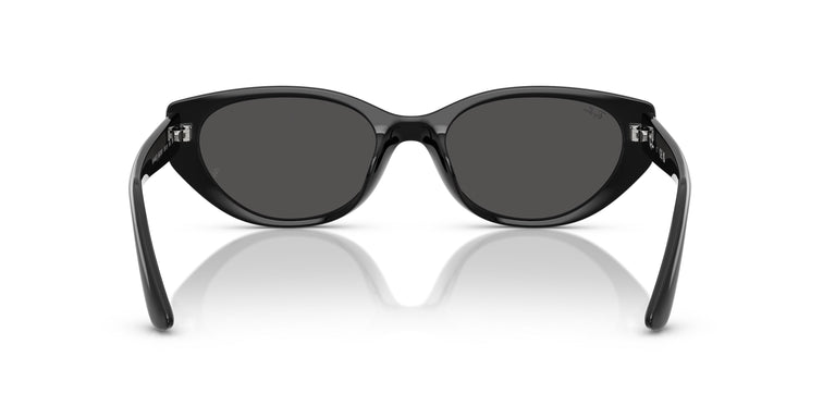Ray-Ban RB4457D 667787 55