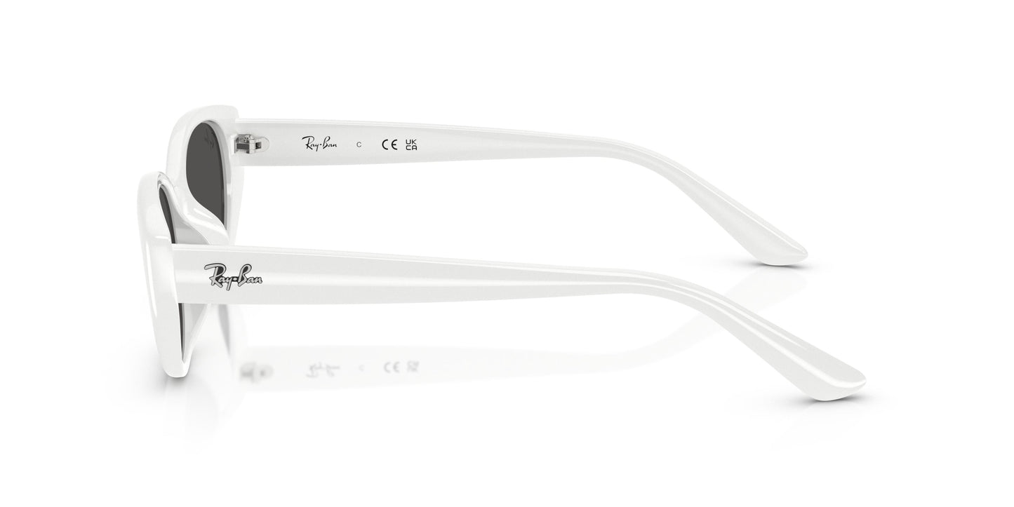 Ray-Ban RB4457D 677287 55