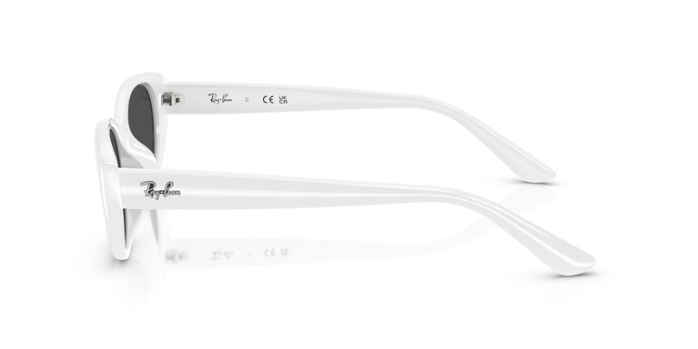 Ray-Ban RB4457D 677287 55