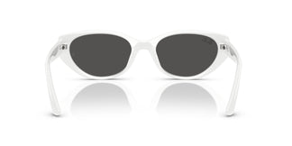 Ray-Ban RB4457D 677287 55