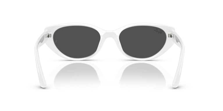 Ray-Ban RB4457D 677287 55