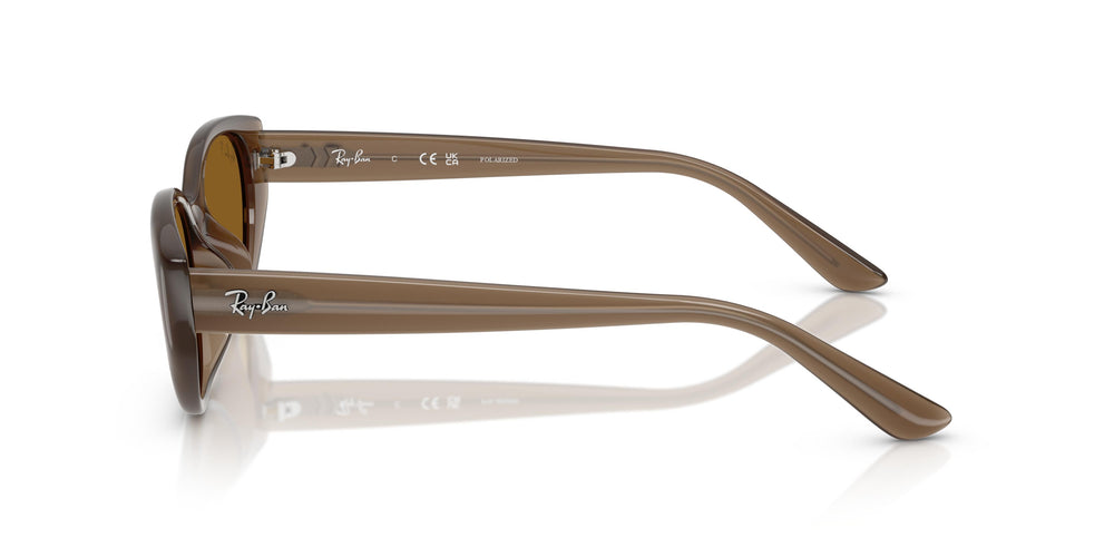Ray-Ban RB4457D 677983 55