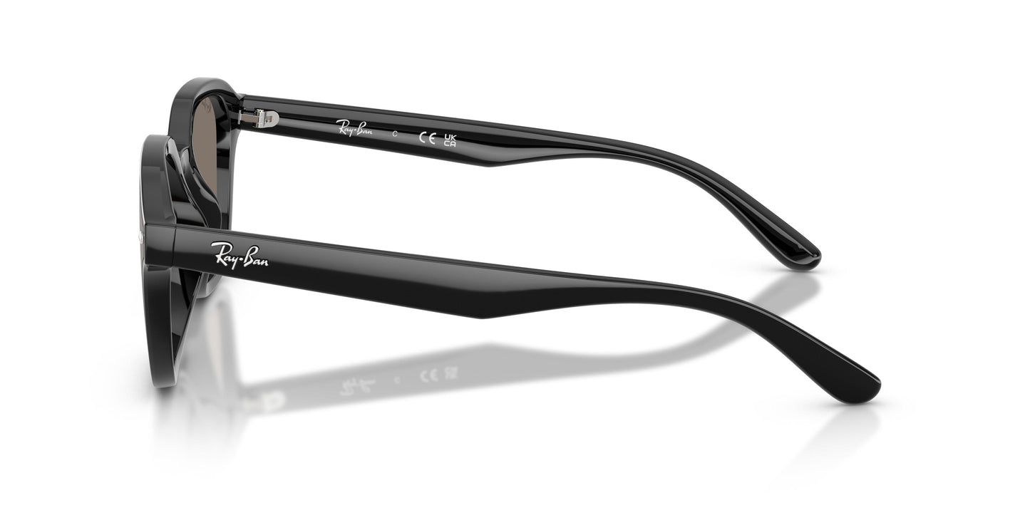 Ray-Ban RB4458D 601/6V 65