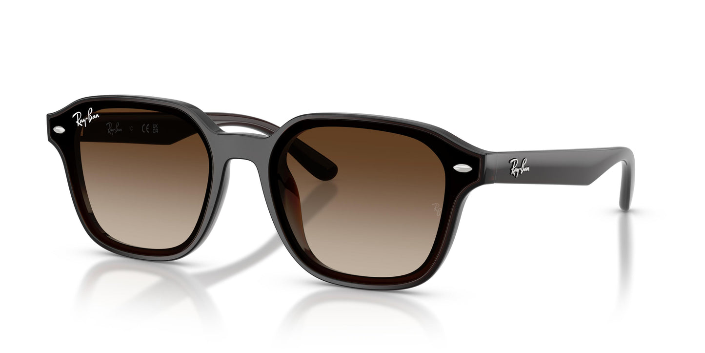 Ray-Ban RB4458D 714/13 65