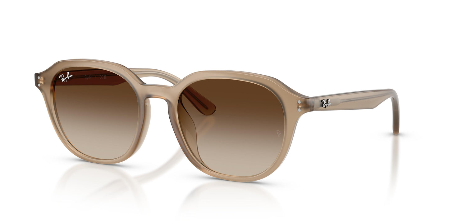 Ray-Ban RB4459D 616613 54