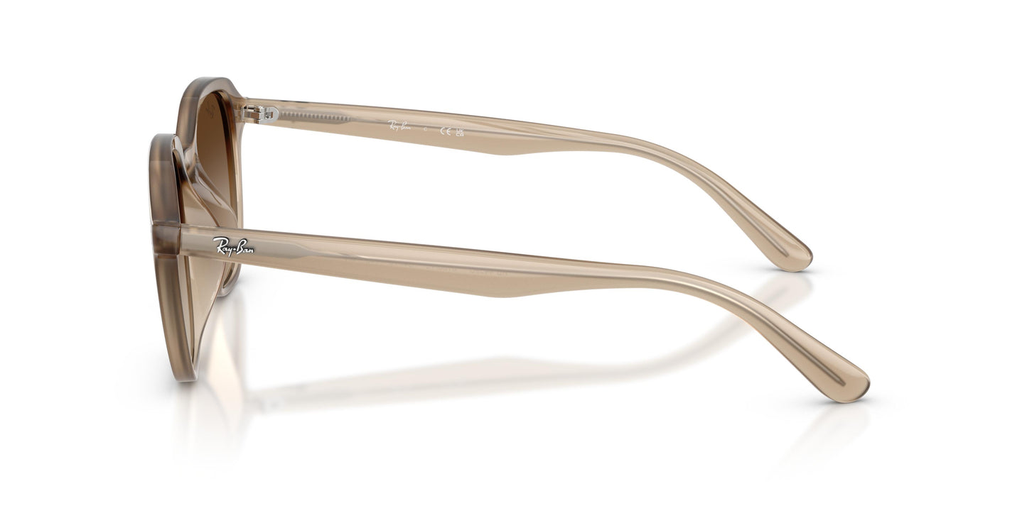 Ray-Ban RB4459D 616613 54
