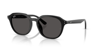 Ray-Ban RB4459D 901/87 54