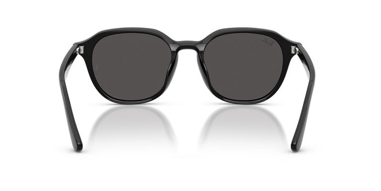 Ray-Ban RB4459D 901/87 54