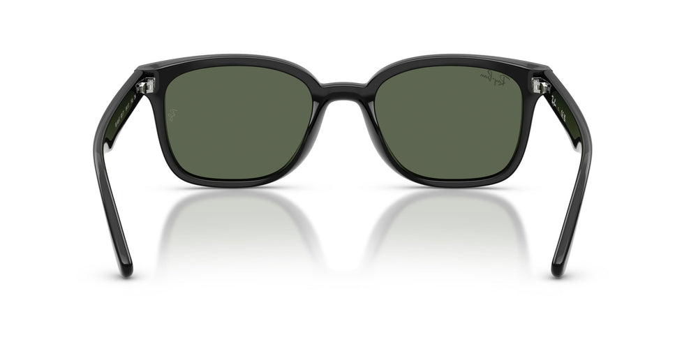 Ray-Ban RB4461D 601/71 64