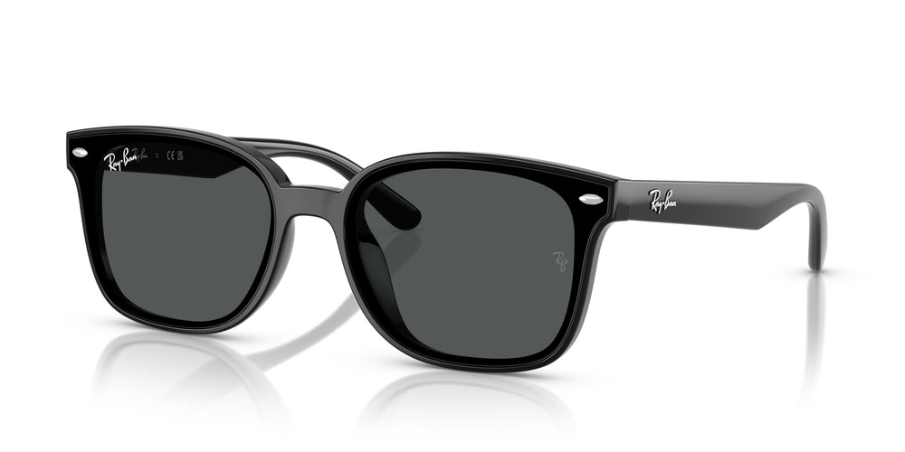 Ray-Ban RB4461D 601/87 64