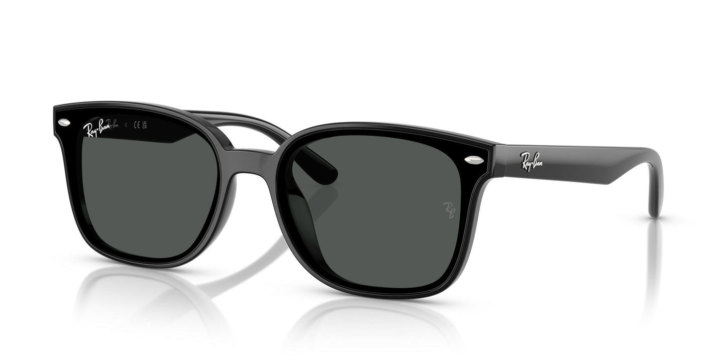 Ray-Ban RB4461D 601/87 64