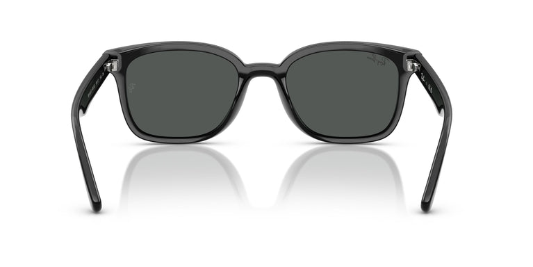 Ray-Ban RB4461D 601/87 64
