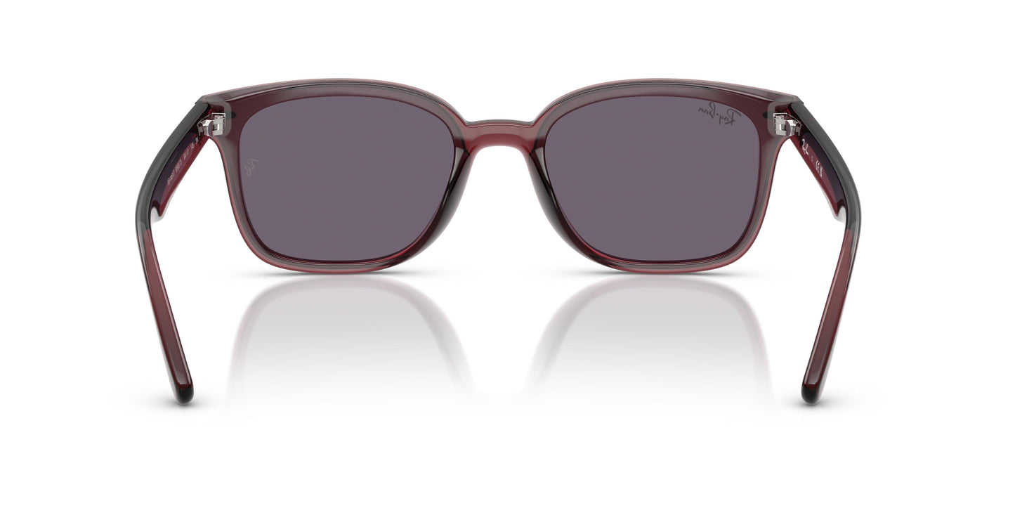 Ray-Ban RB4461D 659373 64