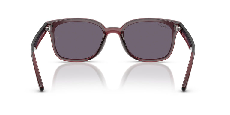 Ray-Ban RB4461D 659373 64