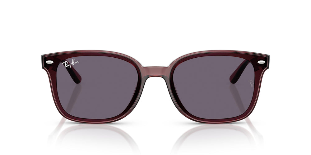 Ray-Ban RB4461D 659373 64