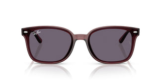 Ray-Ban RB4461D 659373 64