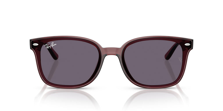 Ray-Ban RB4461D 659373 64