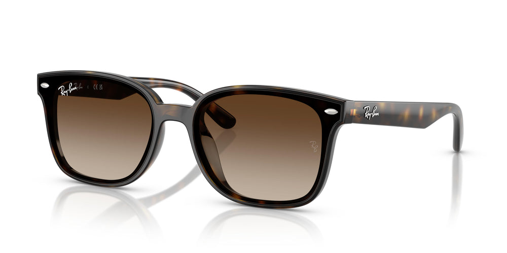 Ray-Ban RB4461D 710/13 64