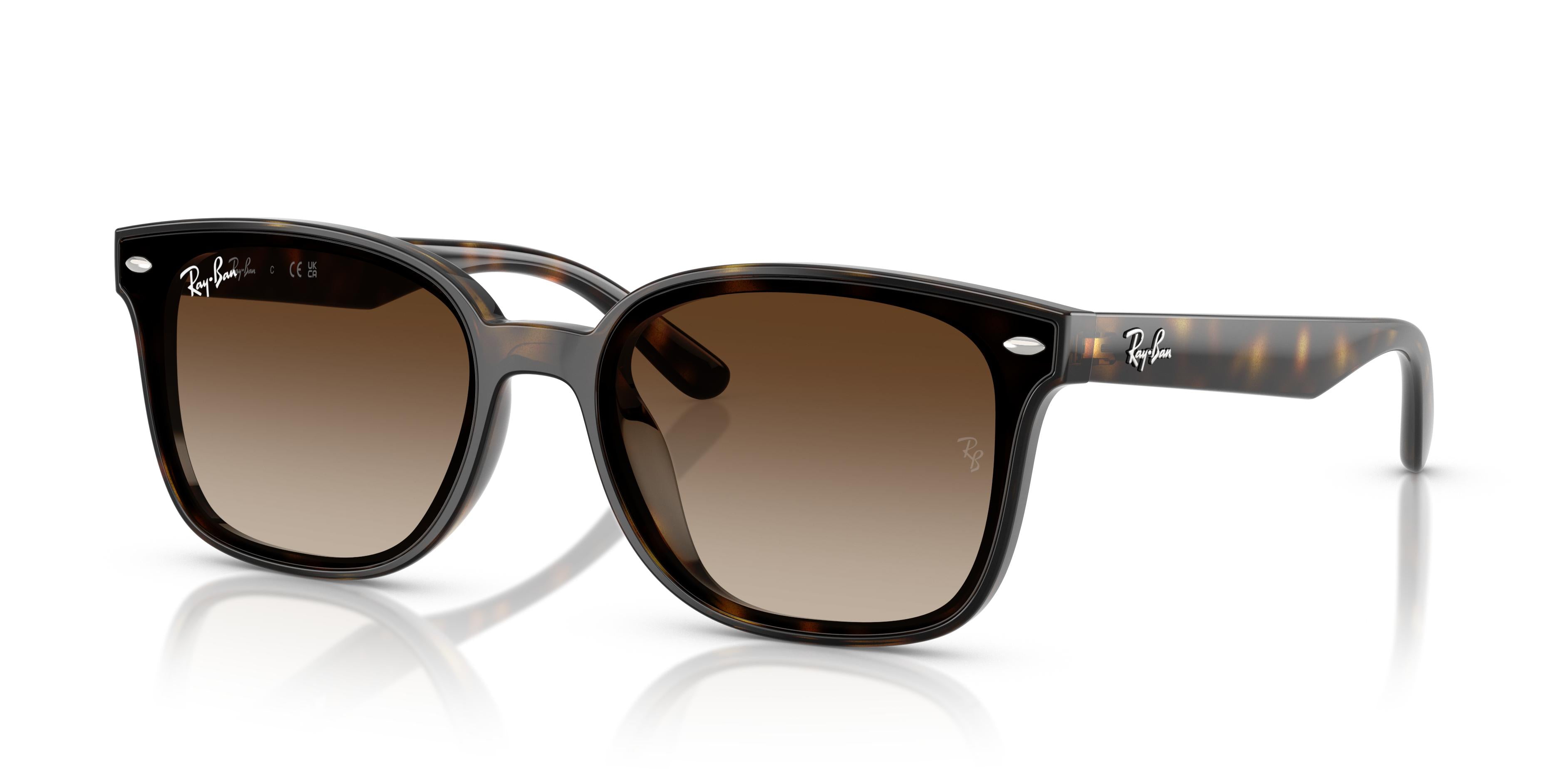 Ray-Ban RB4461D 710/13 64