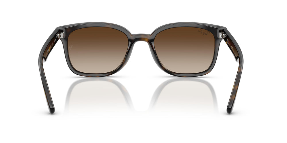 Ray-Ban RB4461D 710/13 64
