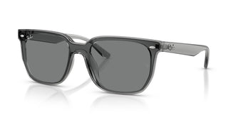 Ray-Ban RB4466D 645087