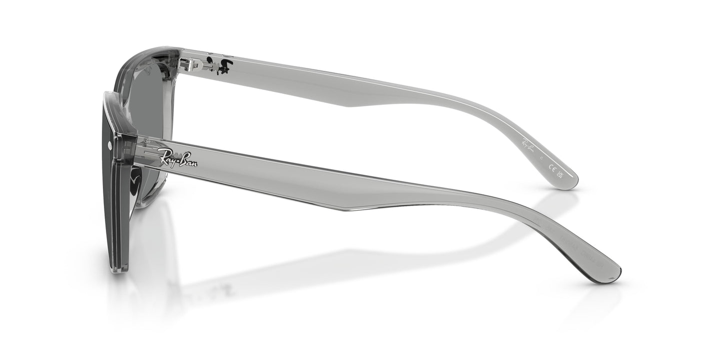 Ray-Ban RB4466D 645087