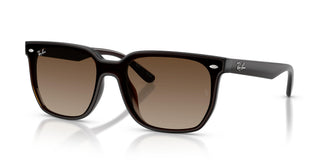 Ray-Ban RB4466D 714/13