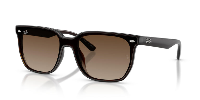 Ray-Ban RB4466D 714/13