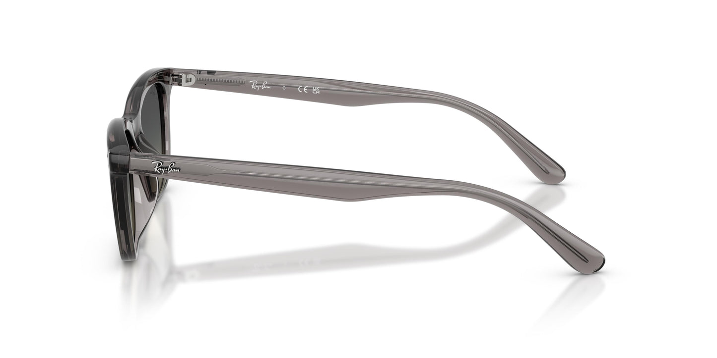 Ray-Ban RB4474D 667511 54