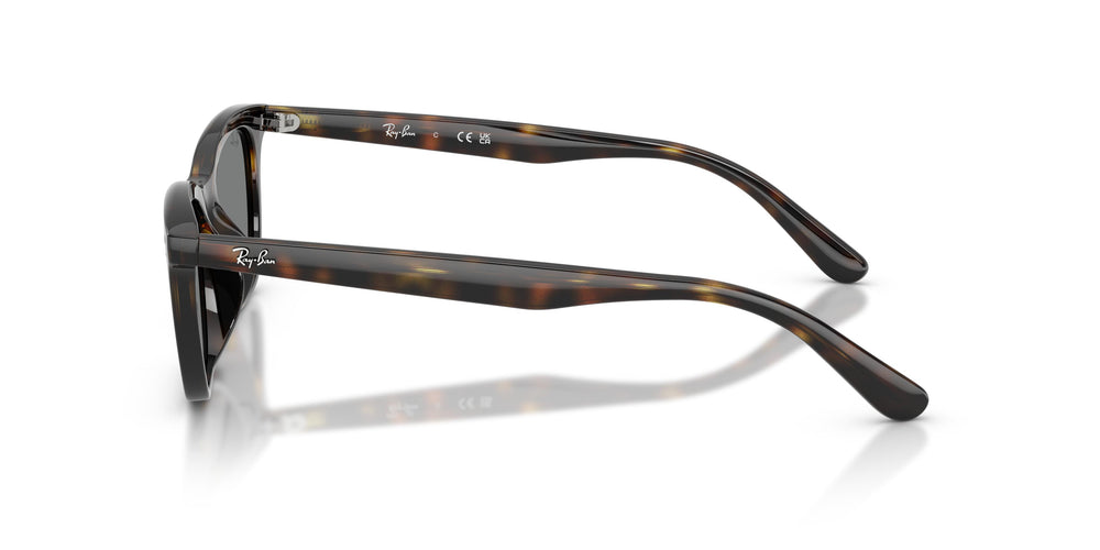 Ray-Ban RB4474D 710/87 54