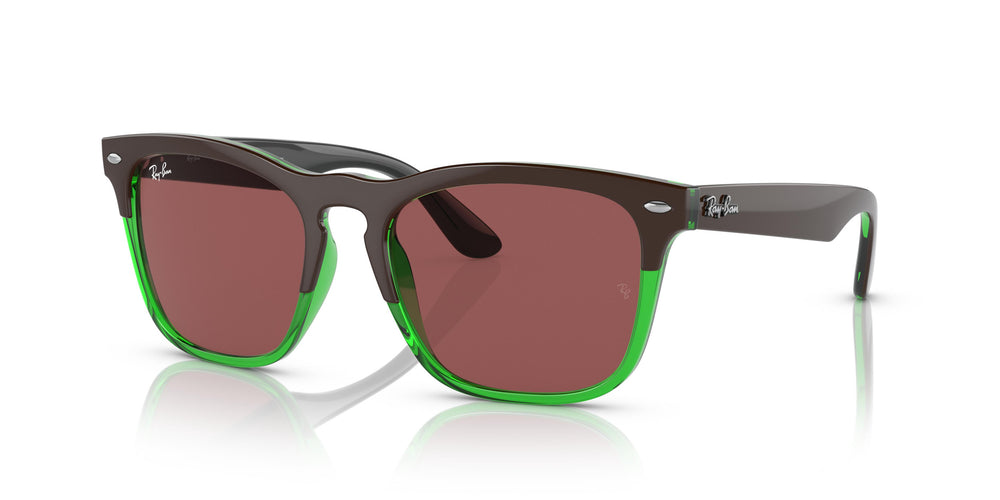 Ray-Ban RB4487 STEVE 663469 54